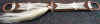shaul1.JPG (35065 bytes)